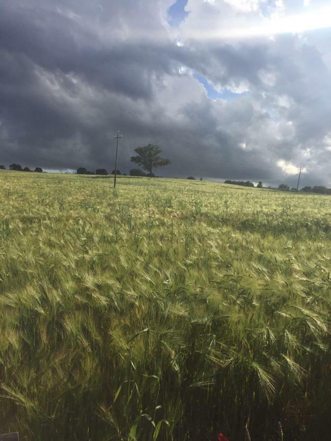 Poggio Alla Pietra 26 Porrona Exterior foto